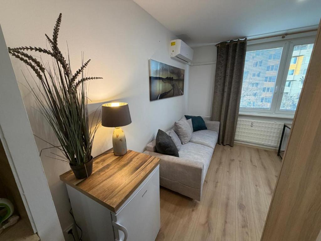 a living room with a couch and a table with a plant at SECRETO Apartman 1 in Komárno