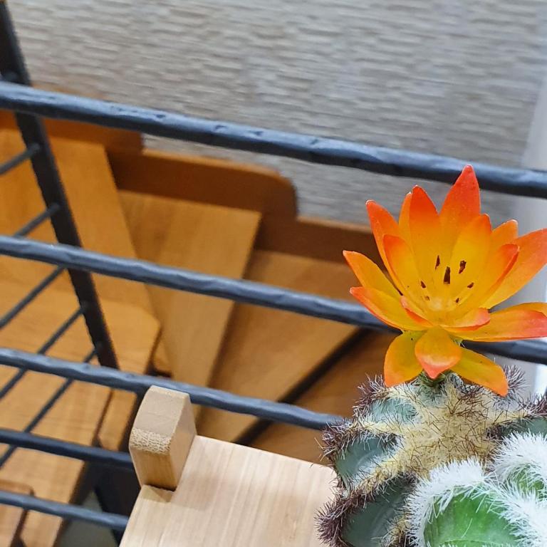 Vittoria Guest House Salerno - 19