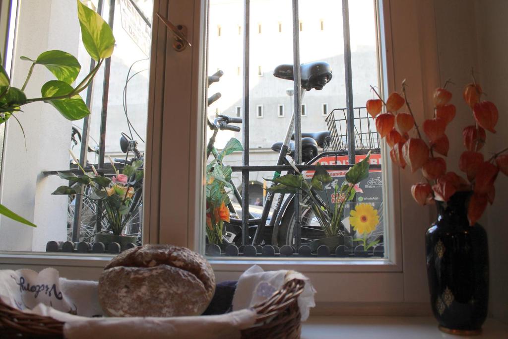 Fotografie z fotogalerie ubytování Hotel Amelie Berlin v Berlíně