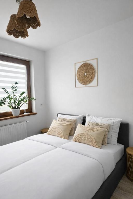 two beds in a bedroom with white walls and a window at Bootanica Apartament Piła in Piła