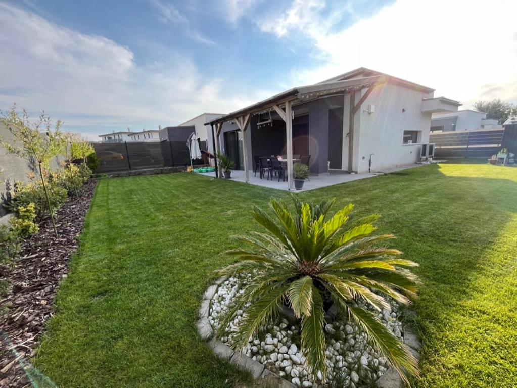a house with a green yard with a palm tree at Sissy Ring House in Mogyoród