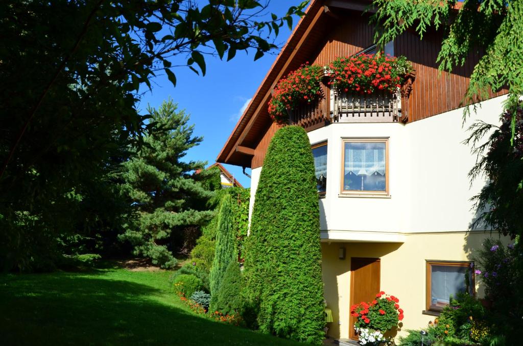 a house with a window and ivy at Ferienwohnung Sonnenblick in Bischofswerda