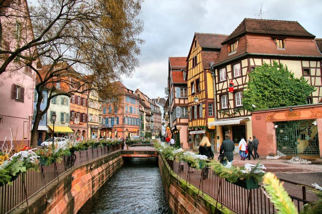 Maison avec terrasse Colmar Centre-Cottage garden terrace Center Old Town Colmar – photo 5