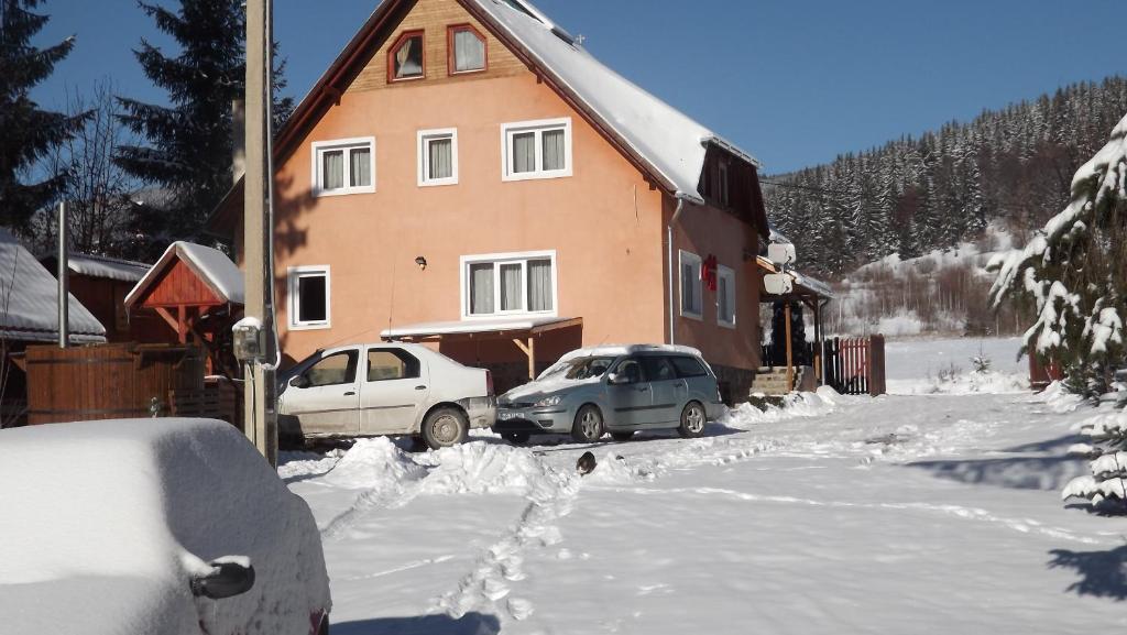 イズボル・ムレシュルイにあるCasa Moldovanの雪の家の前に二台駐車