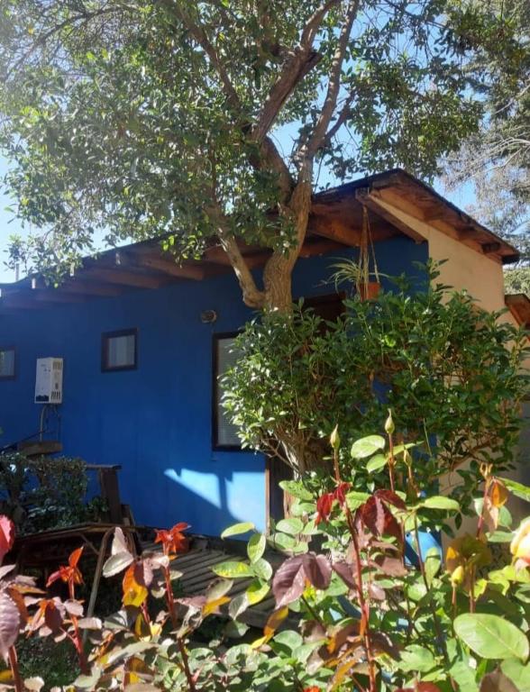a blue house with a tree in front of it at Cabaña La Isla in Isla Negra