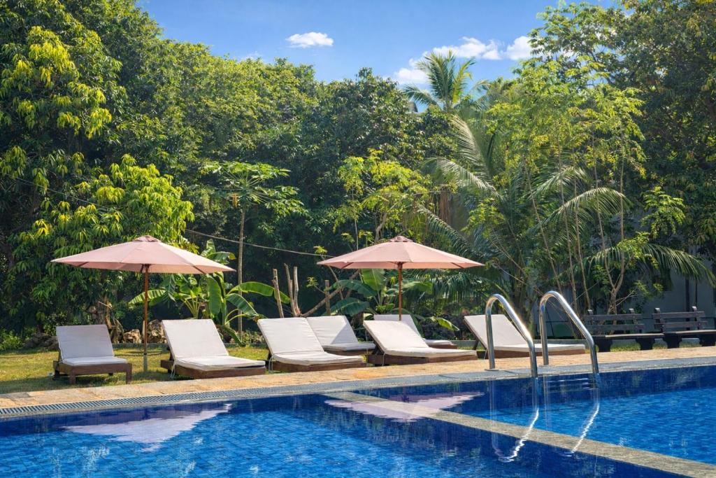 a group of chairs and umbrellas next to a pool at The Jungle Pearl Hotel in Udawalawe