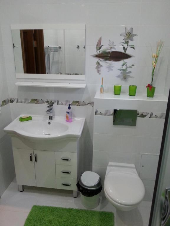 カリーニングラードにあるApartments on Kalyazinskoy 6のバスルーム(洗面台、トイレ、鏡付)