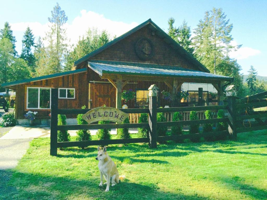 un cane seduto sull'erba di fronte a un edificio di Bond Ranch Retreat a Sequim