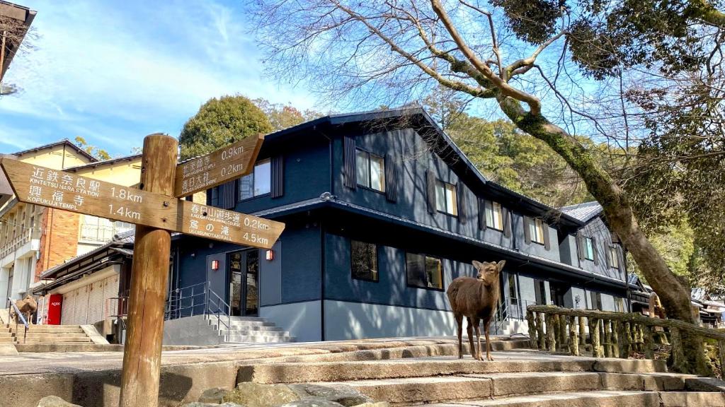 a llama standing in front of a blue building at 奈良春日 鹿のや in Nara