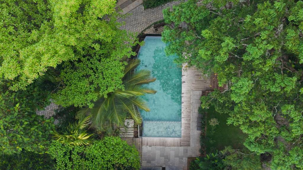 an overhead view of a swimming pool surrounded by trees at Willow Resorts Wayanad in Ambalavayal