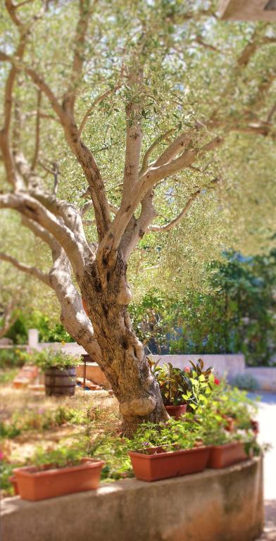 Giardino di Apartment Donat