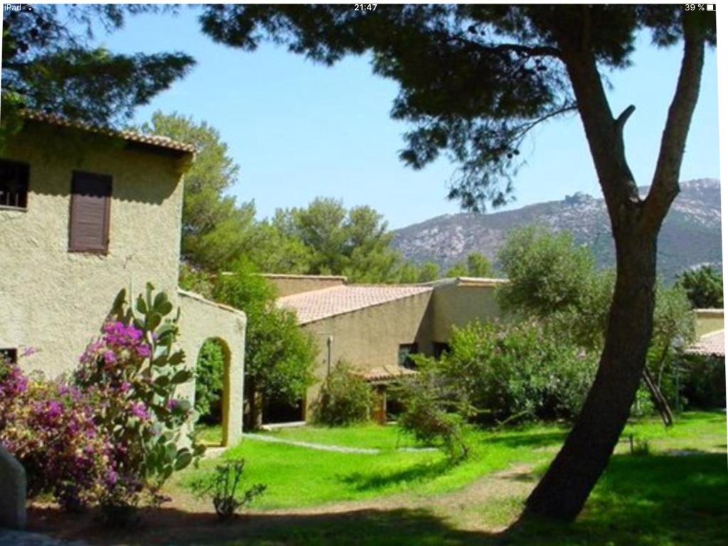 a yard with a house and a tree and flowers at STUDIO A SANT´AMBROGGIO in Lumio