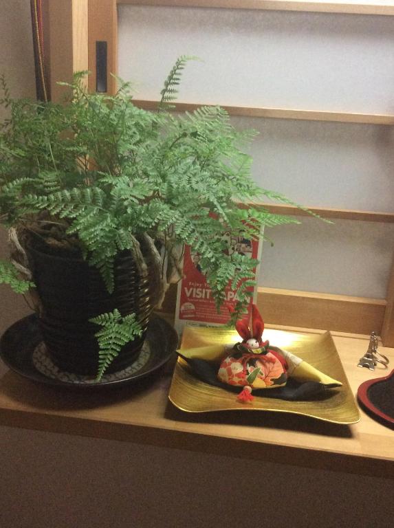 una pianta in vaso su un bancone con un piatto di cibo di Tanaka-ya a Kyoto