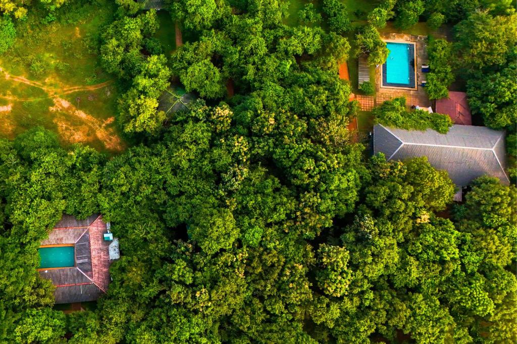 an overhead view of a house in the forest at Pinthaliya Resort in Sigiriya