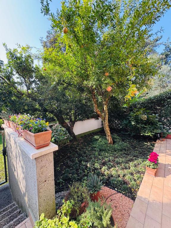 a garden with an orange tree and some plants at Il Giardino di Nà in Linate