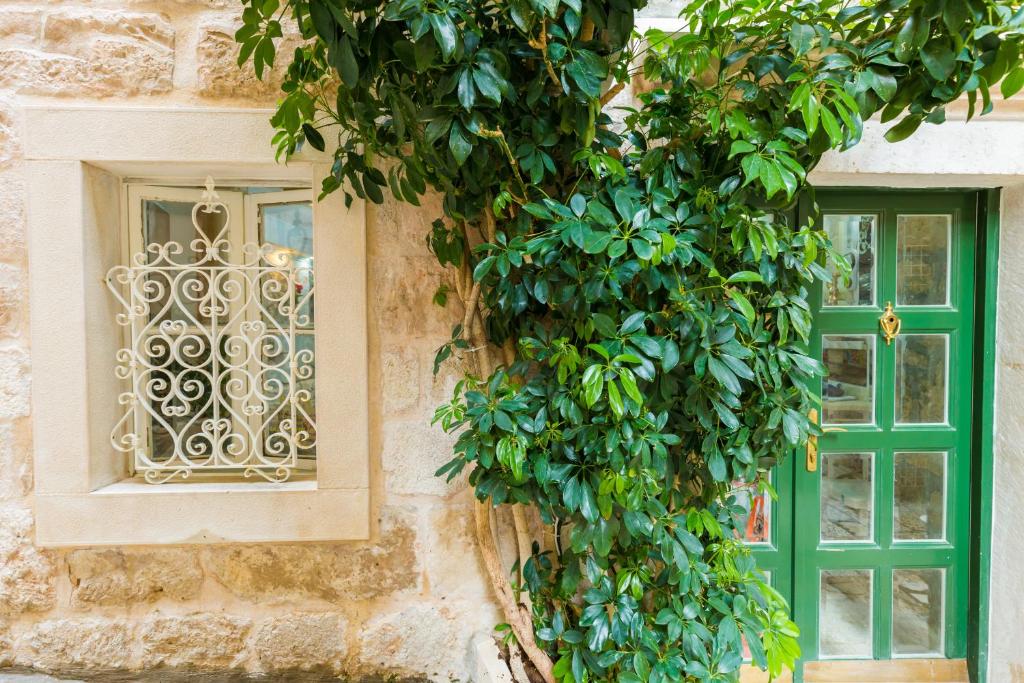 a building with a green window and a bush at Mia Casa Dubrovnik in Dubrovnik