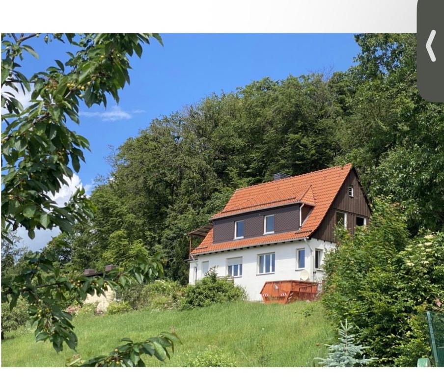 a white house with an orange roof on a hill at Wunderschönes Haus am Waldrand für max 8 Personen in Harztor