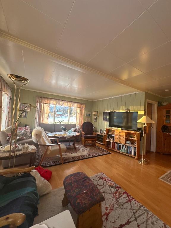 a living room with a couch and a tv at Holiday home for rent in Lyngen