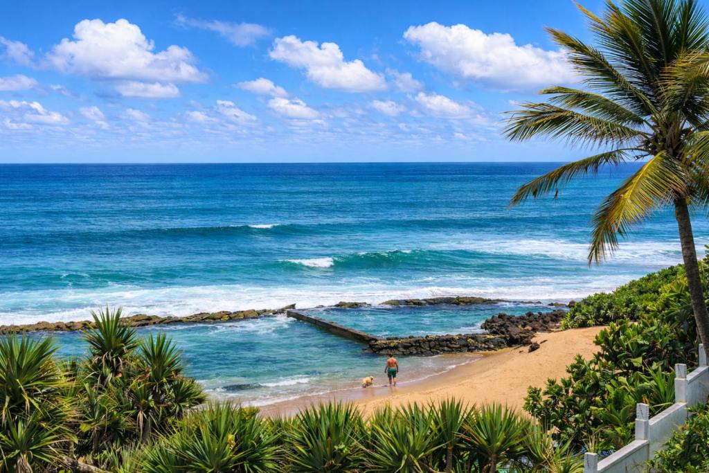 a beach with a palm tree and a man walking a dog at Sea View Bliss in Ballito