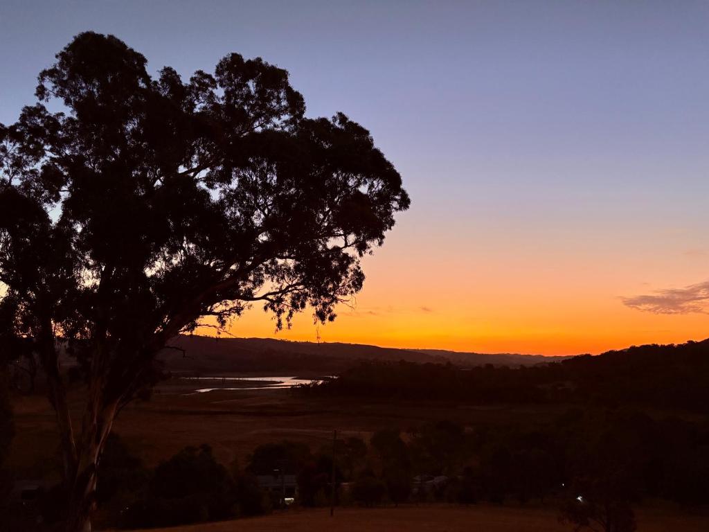 ein Sonnenuntergang mit einem Baum im Vordergrund in der Unterkunft Someplace Else in Bonnie Doon
