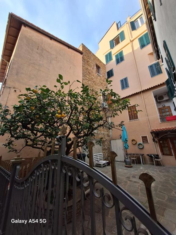 a tree on a fence next to a building at The Blue Nest Suite - Sanremo in Sanremo