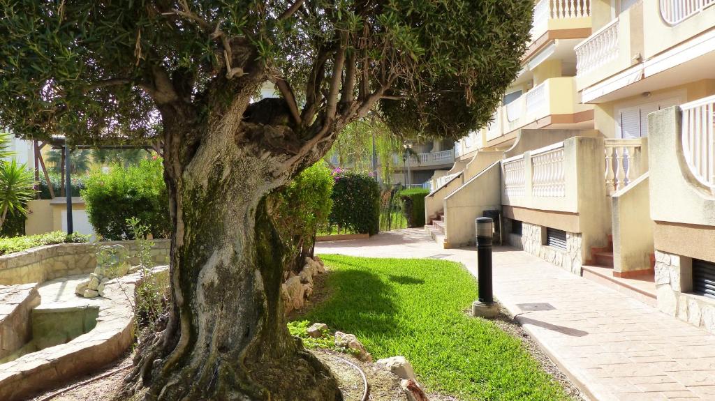 Fotografia z galérie ubytovania Playasol III El Conserje v destinácii Denia