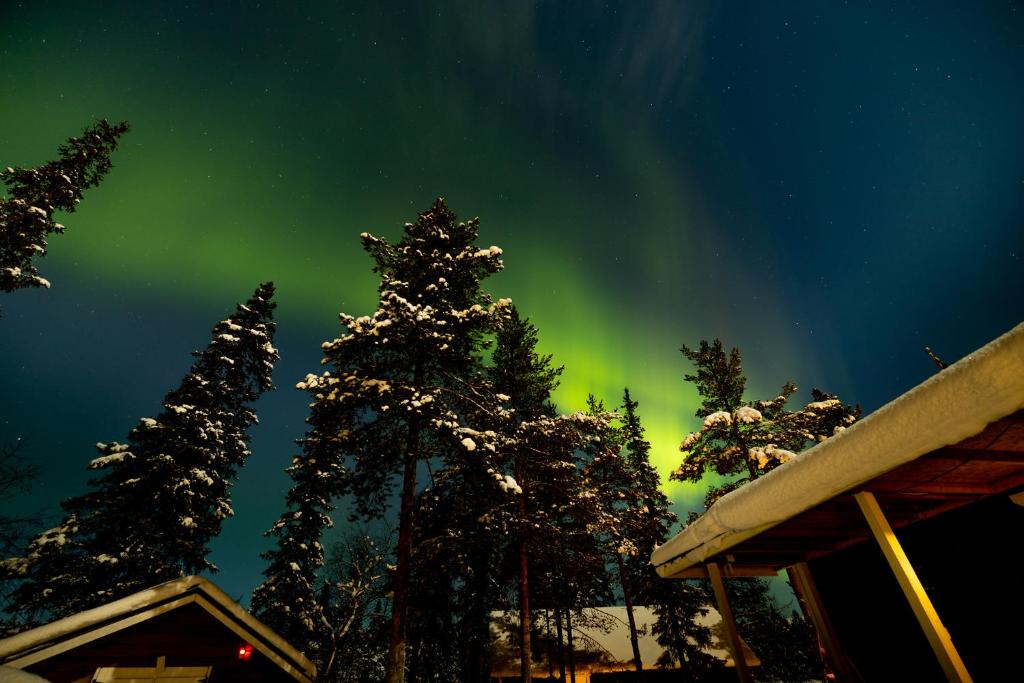 an aurora in the sky with trees and a cabin at Aurora river cabin in Kiruna