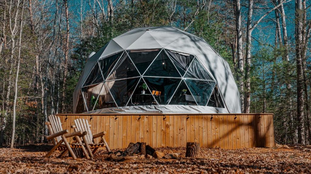 a dome tent in the middle of a forest at The Glass Globe in Traphill