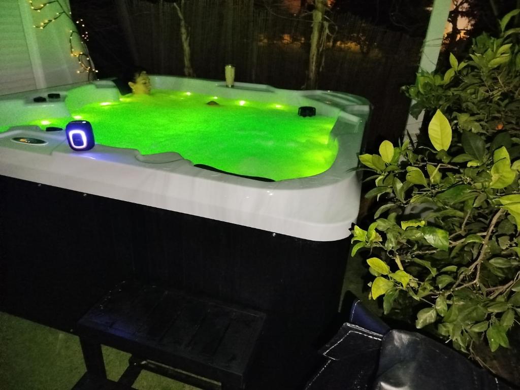 Casita acristalada con jacuzzi - Jacuzzi privado en la habitación en Murcia