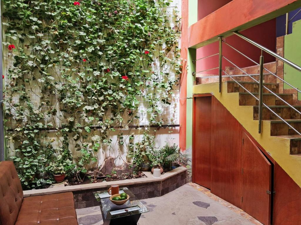a vertical garden on a wall with plants at Belen Achomani in Chivay