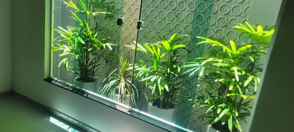 a window with a bunch of plants in it at Casa da Luce in Prado
