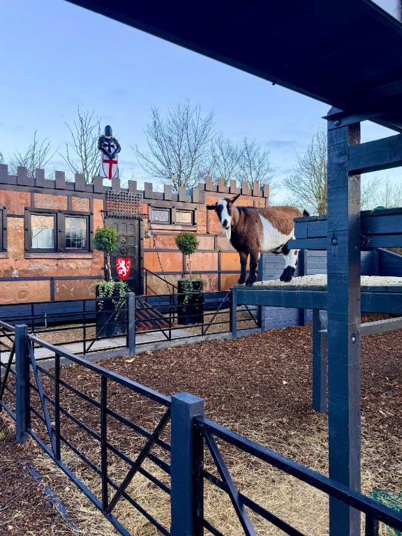 Willow Court Farm, The Copper Castle & Petting Farm, 8 min to Legoland & Windsor, 15 min to Lapland UK - 一卧室公寓