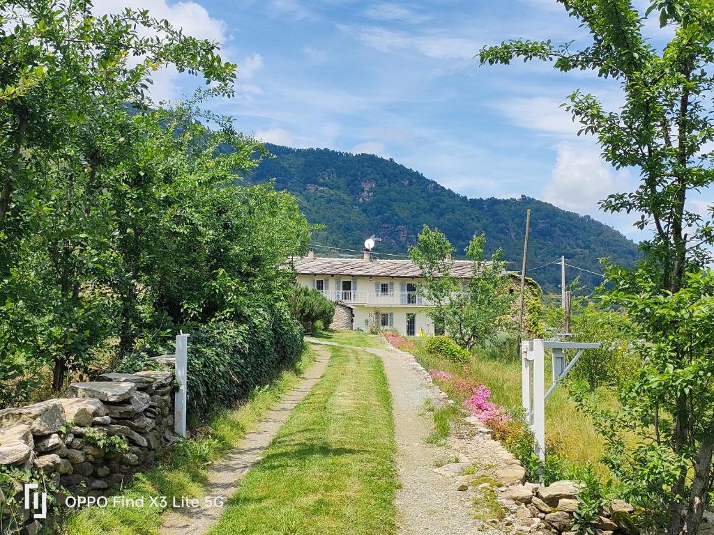 a dirt road in front of a white house at le faye in Envie
