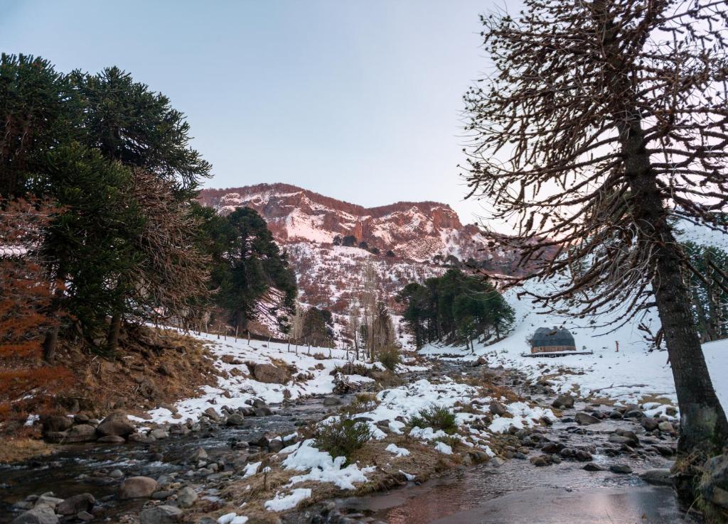 Refugio Huellas de Lonquimay