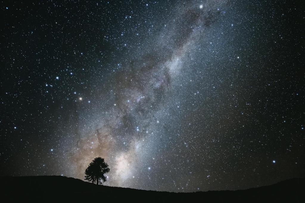 Refugio Huellas de Lonquimay