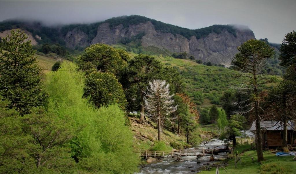 Refugio Huellas de Lonquimay