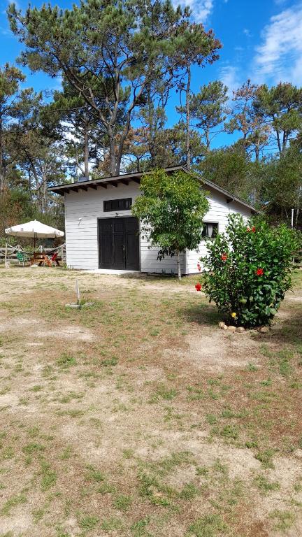 a white building with a garage in a yard at Tiny Moor Laguna Garzón in José Ignacio