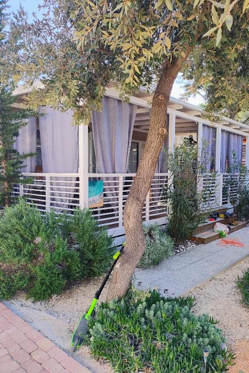 Apartments with parking space Biograd na Moru, Biograd - 25163