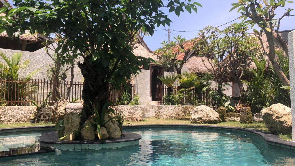 a swimming pool with a tree in front of a house at Sampian Cottages Bingin in Uluwatu