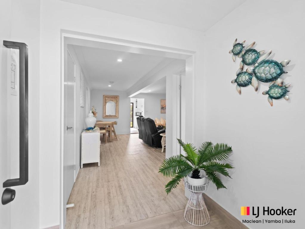 a white living room with a palm plant in a vase at Iluka Magic in Iluka