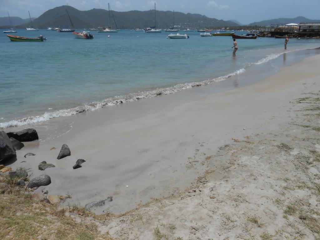 une plage avec des rochers dans l'eau et des bateaux dans l'établissement Entre Mer et Verdure, à Sainte-Anne
