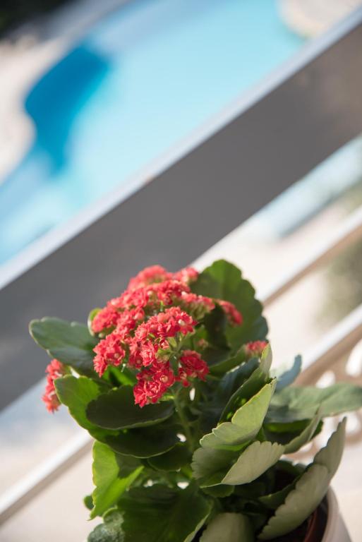 Acharnis Kavallari Hotel Suites - Resim 29