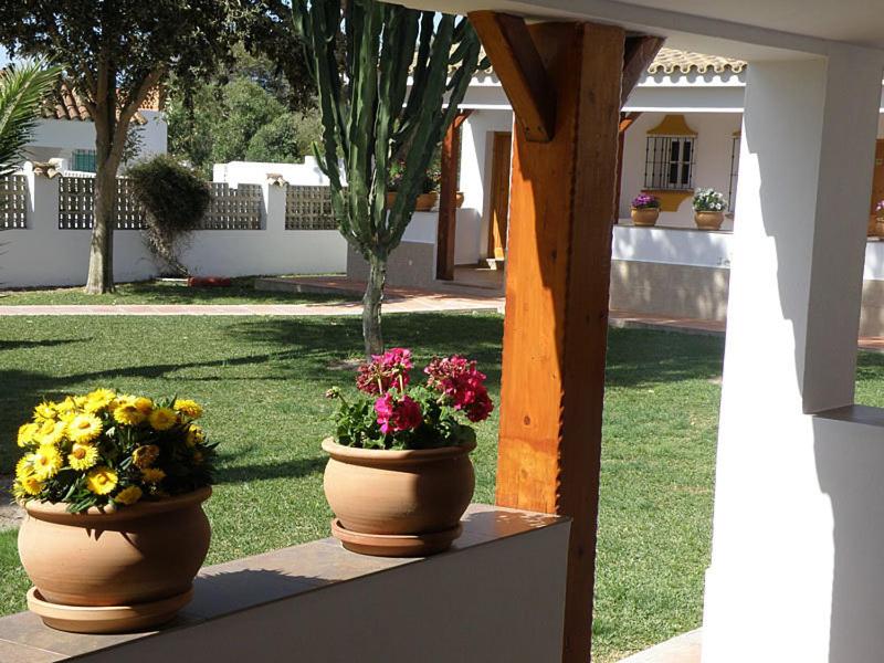 two pots of flowers sitting on a ledge in a yard at Hostal Las Acacias in Los Caños de Meca