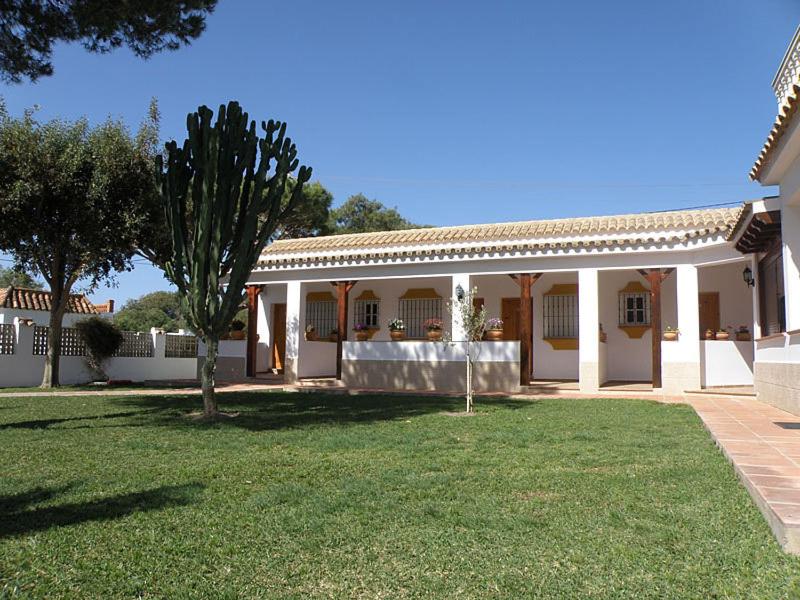 a house with a grass yard in front of it at Hostal Las Acacias in Los Caños de Meca