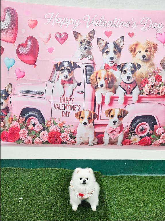 a birthday cake with dogs in a pink truck at 하이얀모텔 in Hwach'ŏl-li