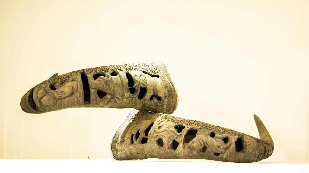 a pair of shoes on display in a museum at THEBLOEM Guest Suites by Knysna Paradise Collection in Knysna
