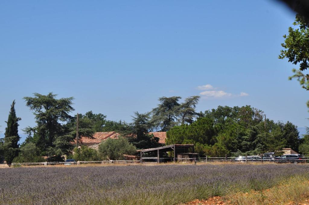 a farm with a house and trees in the background at Le Mas De La Chérine in Quinson
