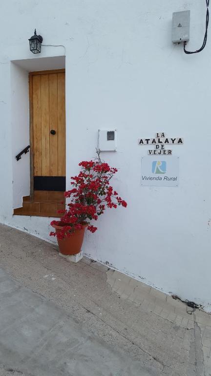 Gallery image of Holiday home La Atalaya de Vejer in Vejer de la Frontera