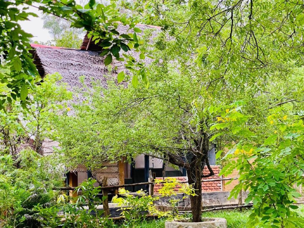 a house with a tree in front of it at Sigiriya Coconut Shade Resort in Sigiriya