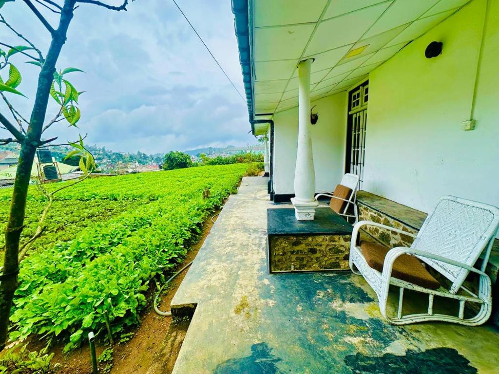a bench sitting outside of a house next to a field at Silver Meir Villa in Nuwara Eliya